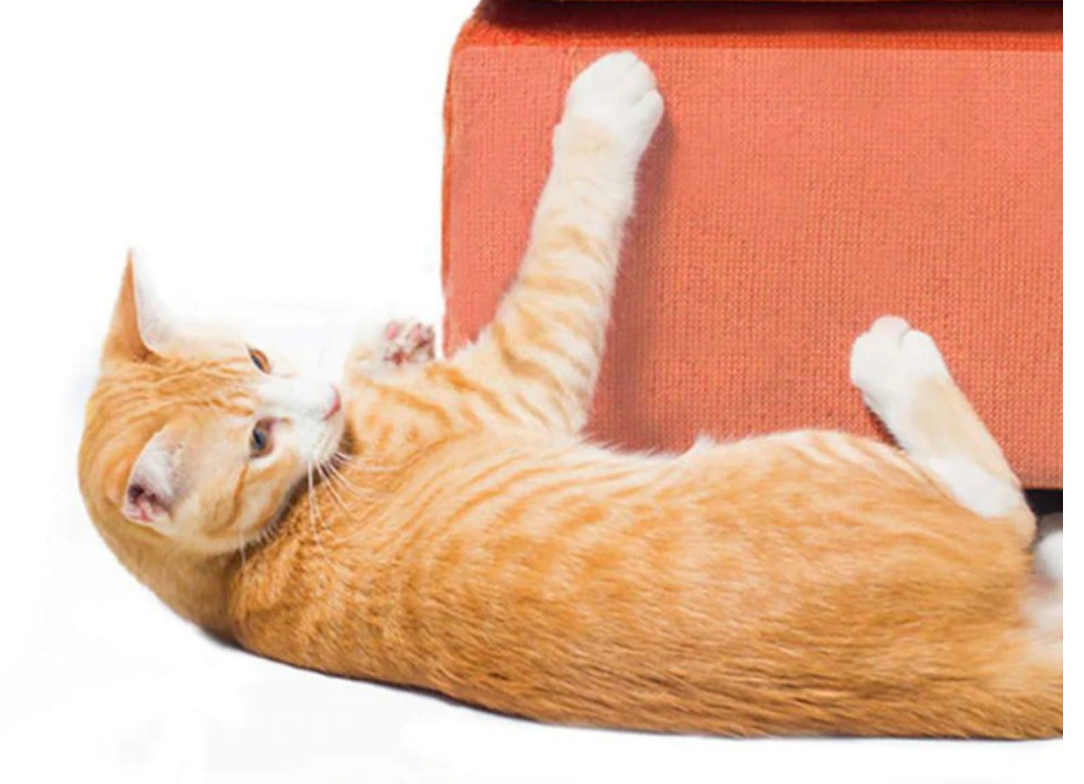 Cat Scratch Furniture Protector Mat