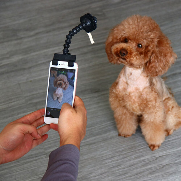 Pet Selfie Stick For IPhone /Samsung/ Xiaomi/ Huawei