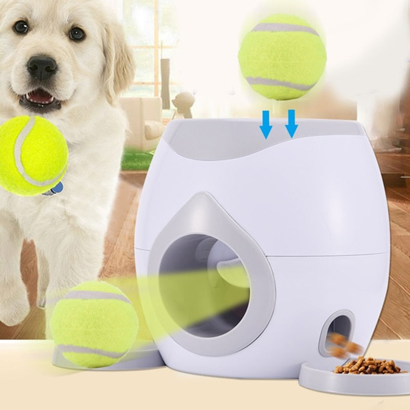 Pet Dog Tennis Reward Machine