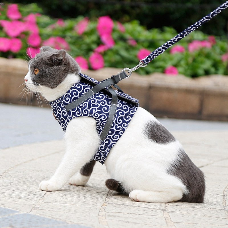 Outdoor Travel Pet Harness Leash Set
