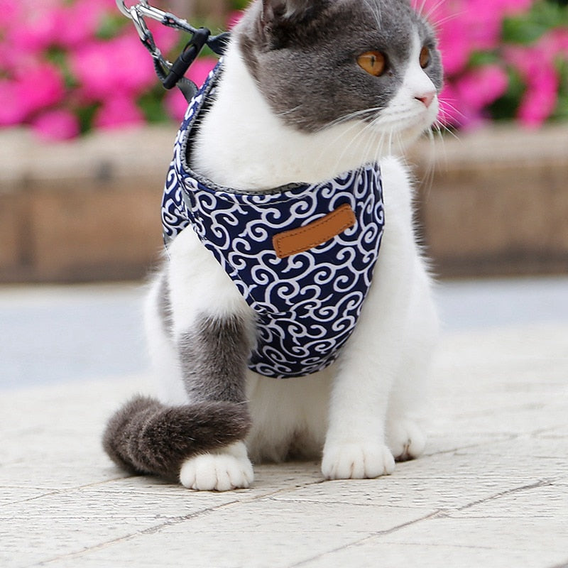 Outdoor Travel Pet Harness Leash Set